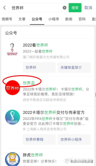 图片[8]-白杨SEO：做个世界杯公众号怎么样？以2022年世界杯搞微信SEO搜索流量举例-Shenshop社交新零售电商系统