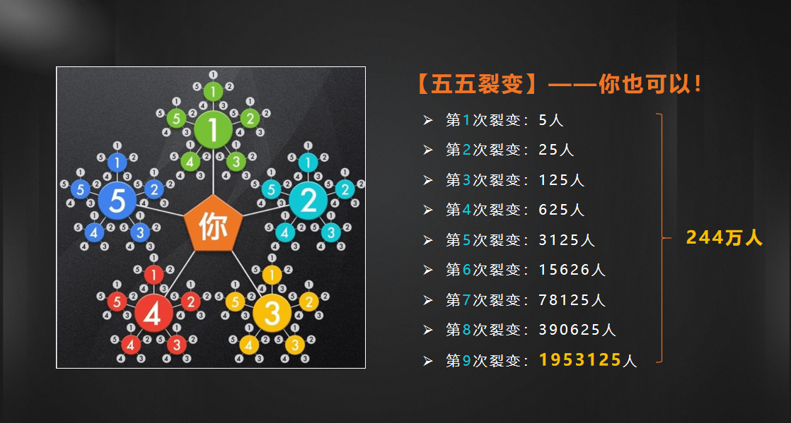 图片[5]-「乐分享」模式揭秘：一个月涨粉70w+的新零售模式-Shenshop社交新零售电商系统